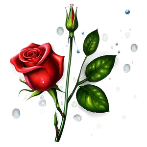 Red Rose With Dewdrops PNG Ouy