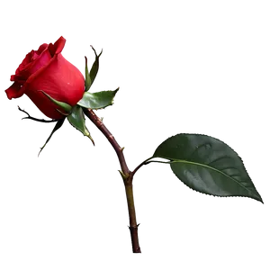 Red Rose With Leaves PNG 05242024 PNG