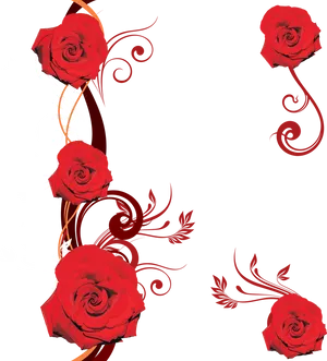 Red Roses Black Background Vector PNG image