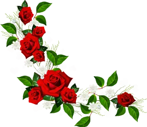 Red Roses White Flowers Black Background PNG image