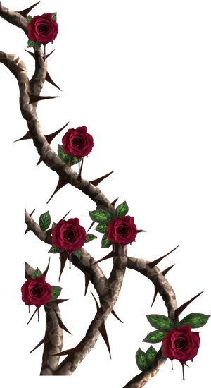 Red Roseson Thorny Branches