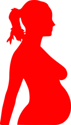 Red Silhouette Pregnant Woman Profile