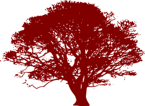 Red Silhouette Tree