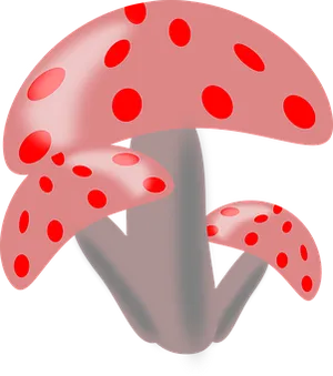 Red Spotted Mushrooms Illustration PNG image