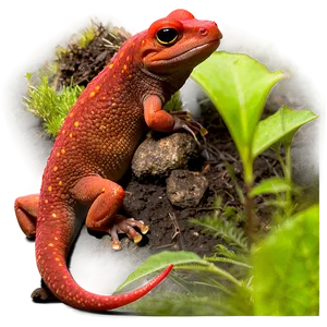 Red-spotted Newt Png Gur PNG image