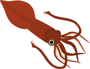 Red Squid Illustration PNG image