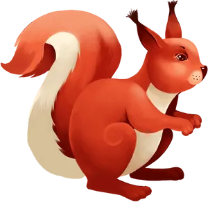 Red Squirrel Illustration