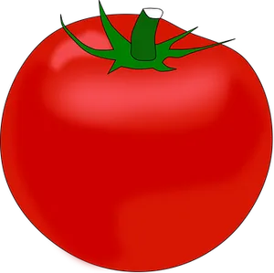 Red Tomato Illustration PNG image