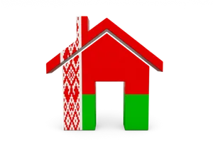 Red Traditional Pattern Home Icon PNG image