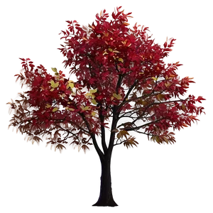 Red Tree B