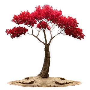 Red Tree By The River PNG Txe