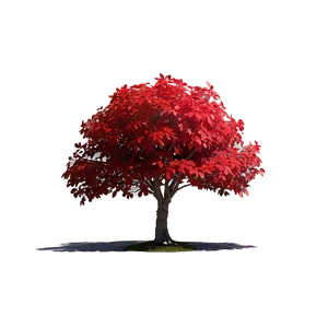 Red Tree C