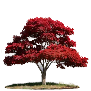 Red Tree In Countryside PNG 47