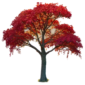 Red Tree In Golden Hour Png 32 PNG image