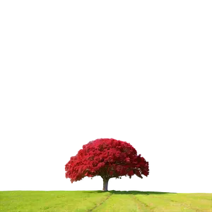 Red Tree In Peaceful Valley PNG Nhu PNG