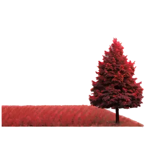 Red Tree In Secluded Grove PNG 37