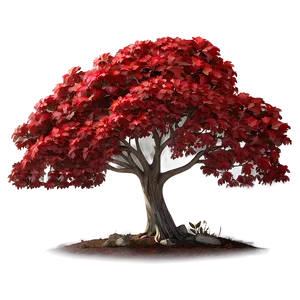 Red Tree In Secluded Grove PNG Tjj81 PNG