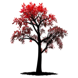Red Tree Silhouette PNG Ykj11 PNG