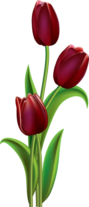 Red Tulips Illustration PNG image