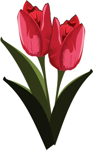 Red Tulips Illustration PNG image