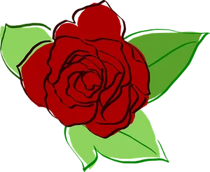Red Vector Rose Illustration