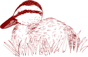 Redand Black Duck Illustration