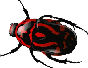 Redand Black Ladybug Illustration
