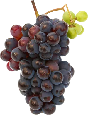 Redand Green Grapes Cluster.png