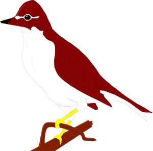Redand White Bird Illustration