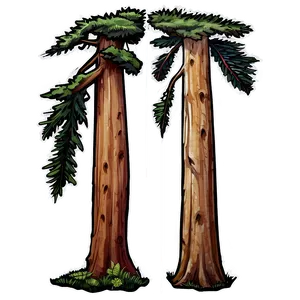 Redwood Forest Giants PNG 1 PNG
