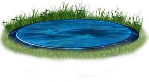 Reflective Discin Grass PNG image