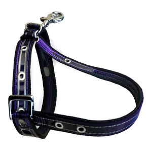 Reflective Dog Leash Png 06132024 PNG image