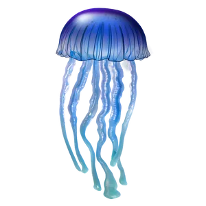 Reflective Moon Jelly Surface PNG 06292024