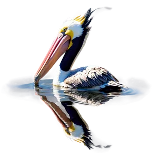 Reflective Pelican Water PNG Mlt4 PNG