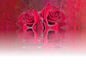 Reflective Red Roses Artwork.jpg PNG image