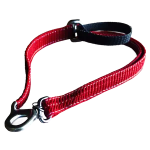Reflective Thread Dog Leash PNG 06132024 PNG