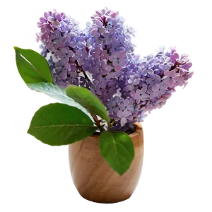Refreshing Lilac PNG Jaw60
