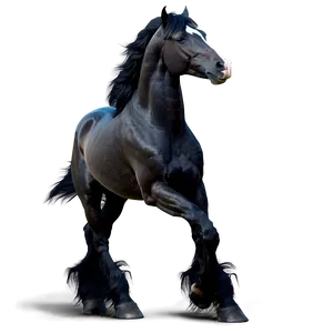 Regal Black Horse Standing PNG Pou81 PNG