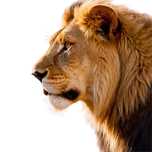 Regal Lion Profile Png Qug43 PNG image