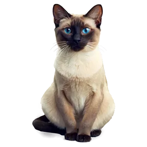 Regal Siamese Cat Sitting PNG Vsy85 PNG