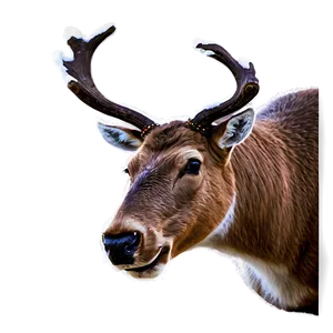 Reindeer Face Png 83 PNG image