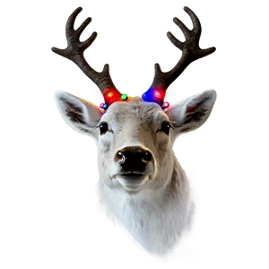 Reindeer Face With Lights PNG Dwi35
