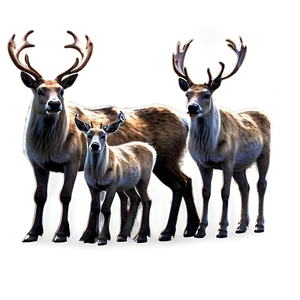 Reindeer Family Png Ivk84 PNG image