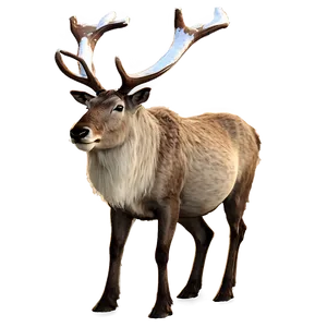 Reindeer In Forest Png Nbe99 PNG image