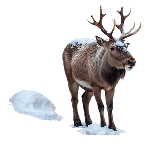 Reindeer In Snow Png Gkv47 PNG image