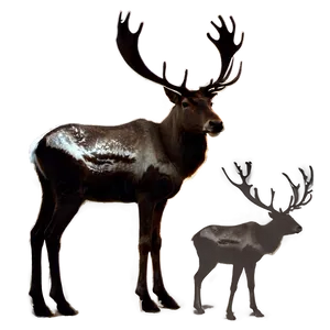 Reindeer Silhouette Png 05212024 PNG image