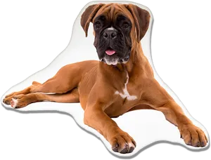 Relaxed Boxer Dog Lying Down.png PNG image