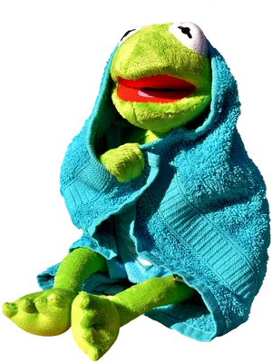 Relaxed Frog Towel Spa Day