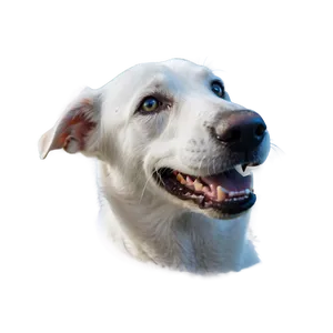 Relaxed White Dog Png 06262024 PNG image