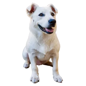 Relaxed White Dog PNG 06262024 PNG